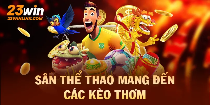 Sân thể thao mang đến các kèo thơm